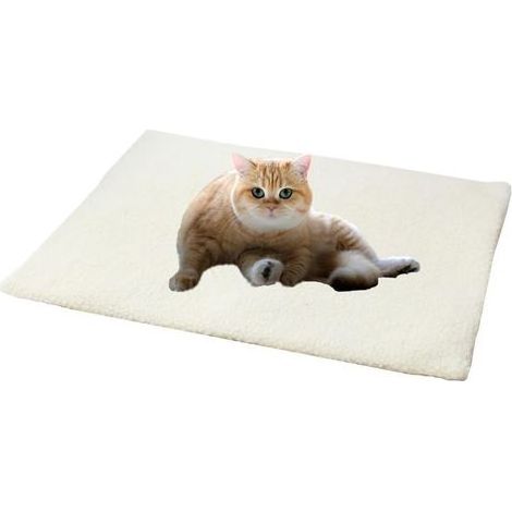 Rutschfeste, beheizbare Haustiermatte, weiche und wärmende Matratze, ideal für Kätzchen, Welpen und Hunde, für den Innen- und Außenbereich bei kaltem Winterwetter, 60 cm x 45 cm (weiß) (1/5)