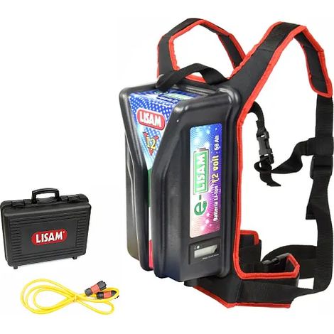 Batterie Dorsale au Lithium Lisam pour Peignes Vibreurs - 12V 56Ah - 600W (1/4)