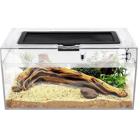 Kit de Base Terrarium et Amphibiens pour Reptiles, Cage d'habitat, 17,8 x 30 x 15 cm, Convient pour élever des lézards, des Tortues, des Serpents, des caméléons, des araignées sauteuses (1/5)