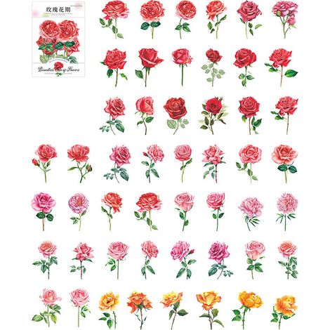 100 stickers fleurs déco « océan floral infini » pour plantes et fleurs (PET, fournitures créatives, ornement floral, rose). (1/5)