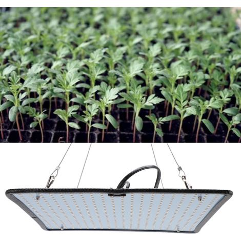 38-W-LED-Pflanzenlampe mit voller Lichtleistung – 500 LEDs für Zimmerpflanzen und Gewächshäuser – 50.000 Stunden Lebensdauer, Hebekabel (1/5)