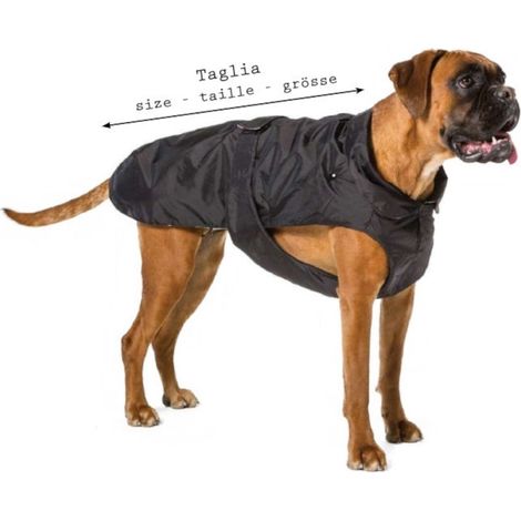 Fashion Dog eleganter Hundemantel speziell für Windhunde - Schwarz - 70 cm (1/2)