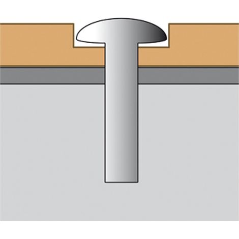 MORION Justizspiegel 500 x 250mm Edelstahl beschichtet