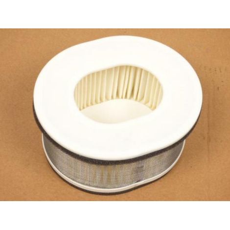 Filtre à air origine pour Moto Yamaha 1000 FZ1 2001 à 2005 (1/2)