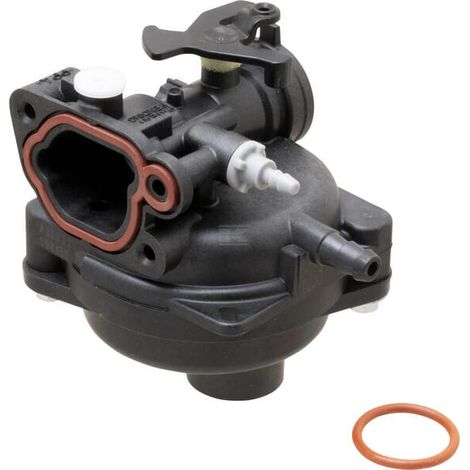 Carburatore Briggs et Stratton - 84001029 (1/5)