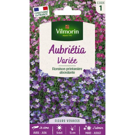 Vilmorin – Aubriète variée – Plante tapissante à floraison précoce – Fleurs bleu clair à pourpre – Période de semis : printemps (1/3)