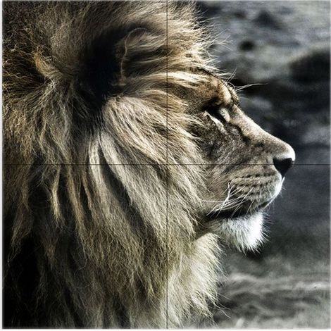 Lupia - Quadro moderno grande su tela WALL 160x160 cm ANIMALI IL RE DELLA FORESTA, set 4 pz tele 80x80 cm per soggiorno camera da letto (1/4)