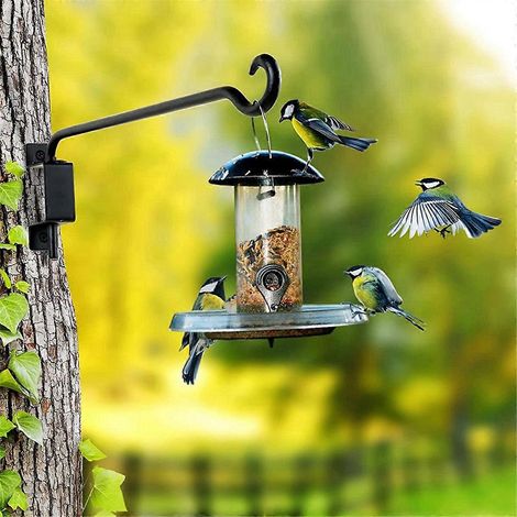 Lot de 2 supports pivotants pour plantes d'extérieur, robustes, de 30 cm (12 pouces) - Pour fleurs (1/5)