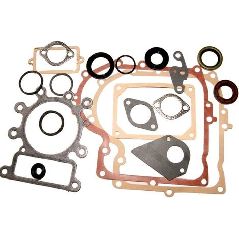 Joints moteur BRIGGS ET STRATTON 495993 (1/2)