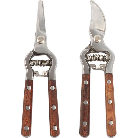 Sécateurs (2 types) : sécateurs à fruits, cisailles à élaguer, sécateurs à branches de saule, outils de jardinage (1/5)