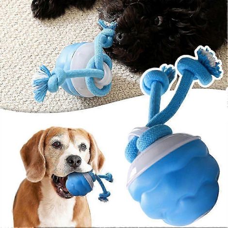 Jouet interactif pour chien : balle roulante avec queue pour lutter contre l'ennui, jouet d'entraînement pour chiens, idéal pour l'intérieur. (1/4)