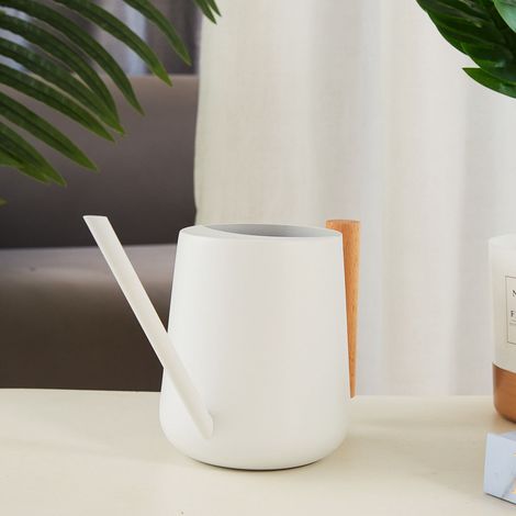 Arrosoir à long bec en acier inoxydable, arrosoir ménager en métal épais, blanc (1/5)