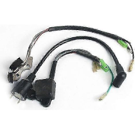 Lot de 3 bobines d'allumage magnétique ET950 ET650 IE45 TG950 pour générateurs TIGER 450W, 650W, 800W, 950W et 1000W (2 temps, édition C). (1/5)