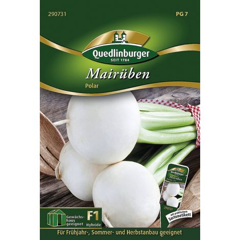 Quedlinburger Mairüben Polar F1-Hybride - Gemüsesamen