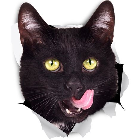 Autocollants de chat 3D - 2 Pack - Sticker Hungry Cat pour mur, réfrigérateur, toilettes et plus (1/4)