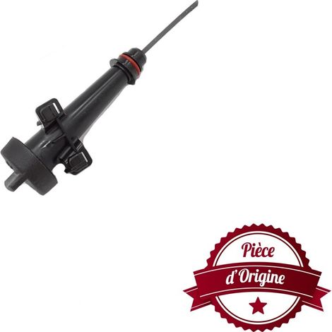 Bouchon jaugeur BRIGGS ET STRATTON 796503 - 590572