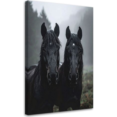 Tabelau sur Toile, Têtes de chevaux noirs animaux nature,20x30 (1/4)