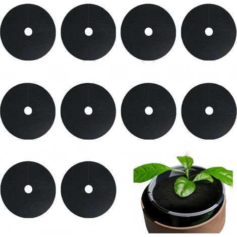 Lot de 10 anneaux de paillage en non-tissé pour arbres, 15 cm, protection des racines contre les mauvaises herbes, tapis de protection rond en non-tissé pour plantes et arbres (1/5)