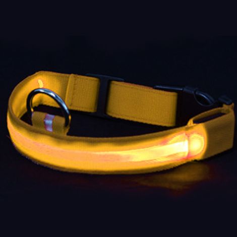 Wiederaufladbares LED-Hundehalsband per USB – Helles und gut sichtbares Leuchthalsband für nächtliche Spaziergänge mit dem Haustier