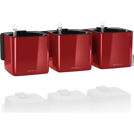 LECHUZA® Pflanzgefäße CUBE Glossy Green Wall Home Kit Scarlet rot hochglänzend (1/4)