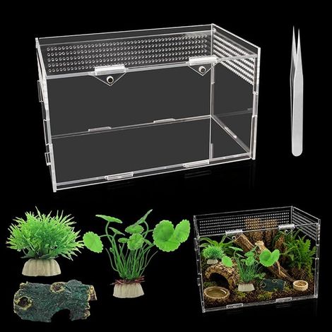 Kit de Terrarium de Reptiles en Acrylique 20 x 12 x 12 cm (1/5)