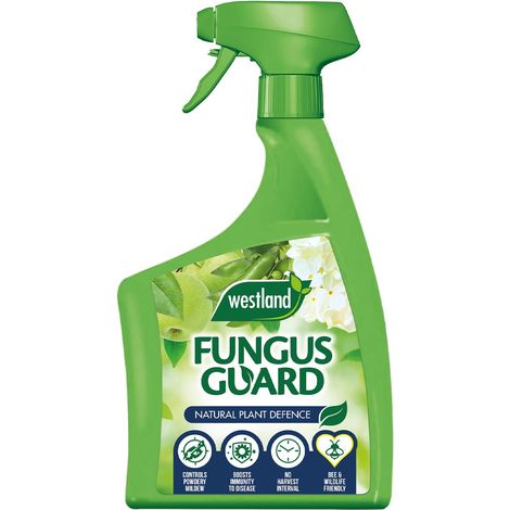 Westland Fungus Guard - 800ml