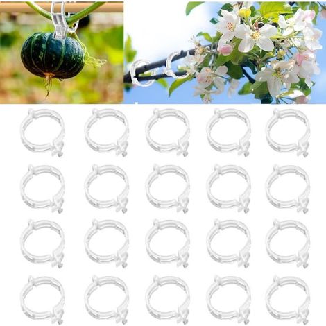 Clip en Plastique sécurisé pour Plantes, Clips Support pour Attacher Les Plantes de jardin, Plant Support Clips, Attache Tomate pour Les légumes Tomate Vigne tiges de Croissance (100, Blanc) (1/5)
