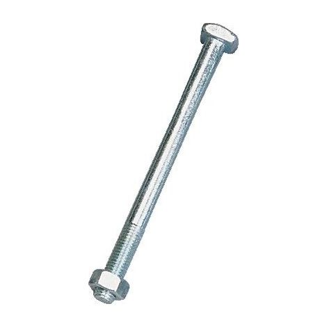 Boulon de charpente tête carré avec écrou 14x250