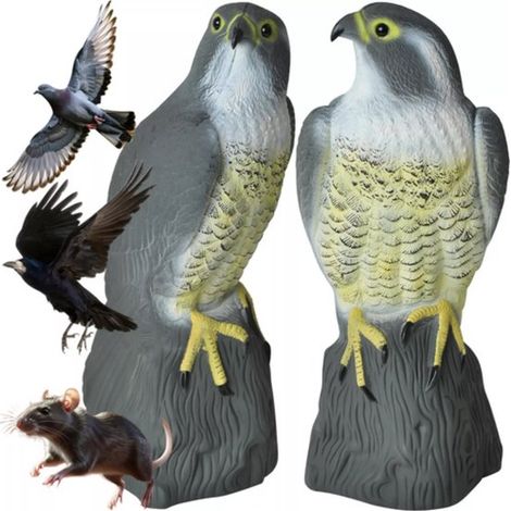 Épouvantail en forme de faucon réaliste pour éloigner les oiseaux (1/2)