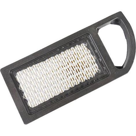 Filtre à air moteur Briggs & Stratton séries 21A900 et 21B900