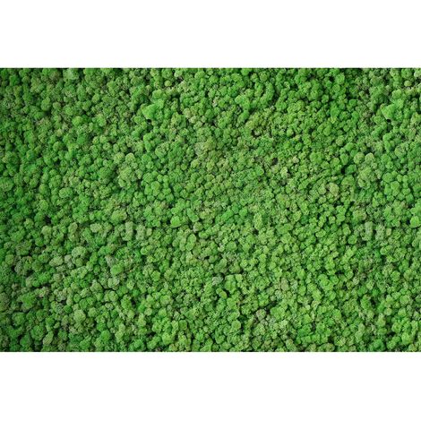 Papier peint panoramique vert mousse | Tapisserie panoramique originale pour cuisine | Papier peint panoramique 3D arbre nature - 270 x 400 cm (4 pièces) (1/2)