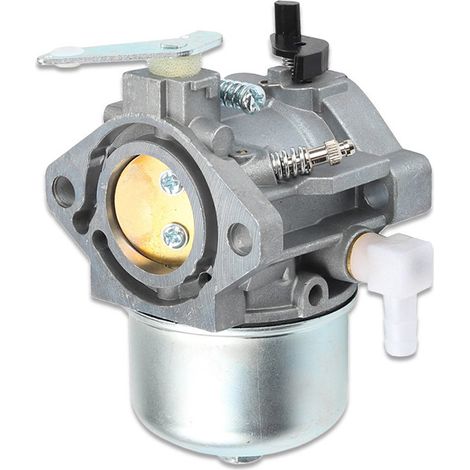 DOLASO Vergaser für Briggs & Stratton 690119, kompatibel (1/5)