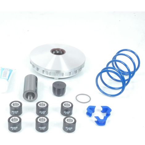 dimmer polini für roller sym 300 joyride nach 2021 neu (1/4)
