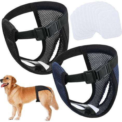 2 culottes de protection réutilisables, 10 coussinets hygiéniques, taille XL, pour chiennes en période de chaleur (1/5)