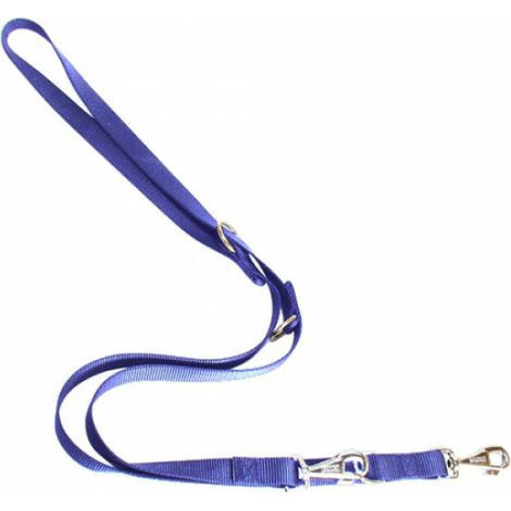 Ferplast Club GA20/200 Laisse 3 positions en Nylon Bleu pour Chiens