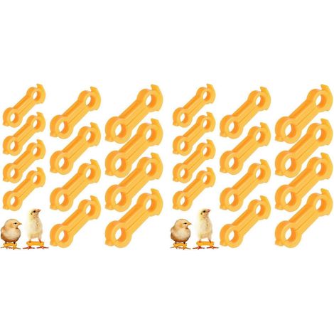 24 entraves pour pattes de poussins, entraves pour pattes de poussins, bandes pour pattes de volaille, entraves pour poulets (1/5)
