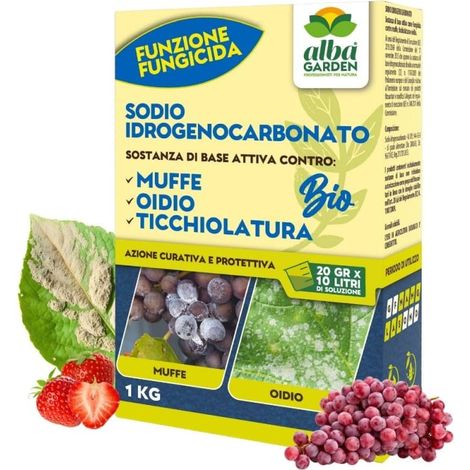 Sodio Idrogenocarbonato Biologico Fungicida per Piante Naturale Contro le Malattie Fungine Muffa Peronospora Polvere x 1 kg (1/5)