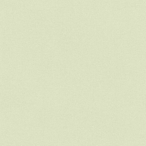 Rasch Wall Textures V 447538 Vliestapete Uni 10.05 x 0.53 m Grün Wohnzimmer Flur Büro Küche Wohnräume