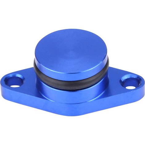 Ansaugkrümmerdichtungssatz für Pkw-Motoren, Reparatursatz für Diesel-Drallklappen aus Gummi mit Krümmerdichtungen für E46 320d 2001-2005 (6 33mm-Schwarz).