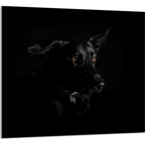 PANEL DE VIDRIO PARA COCINA 65x60 Perro (1/5)