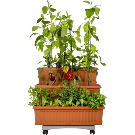 KIT FIORIERA 'ORTO' cm 80x74x73h - Col. Terracotta