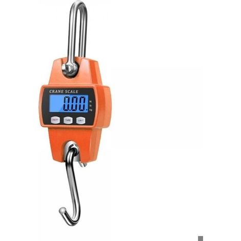 Balance numérique suspendue 300 kg – Mini balance portable avec crochet – Écran LCD rétroéclairé – Alimentation 3 piles AA (1/5)