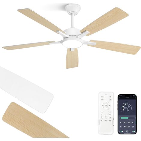 Ventilateur de plafond avec lumière 132 cm, Plafonnier ventilateur, APP et télécommande, Moteur DC silencieux, Réversible, 5 pales, LED 3CCT dimmable (1/5)