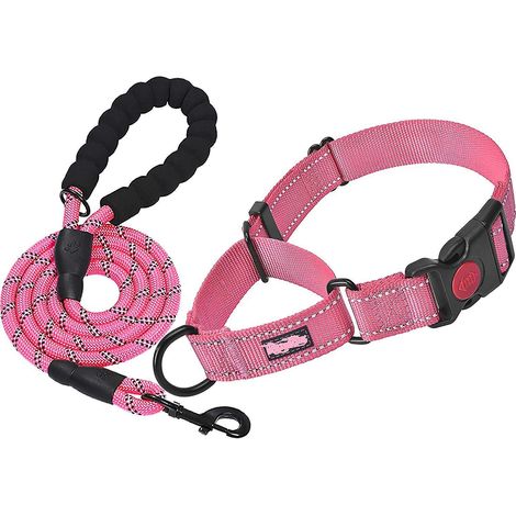 rose Collier Pour Chien Rflchissant Rembourr En Noprne Souple Et Respirant, Rglable En Nylon Pour Petits Chiens (1/5)