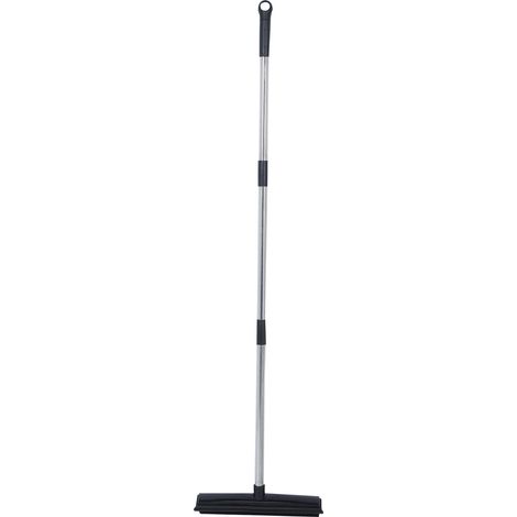 Balai télescopique multifonction pour tapis et moquettes, aspirateur de poussière et d'animaux, outil de nettoyage noir (1/5)
