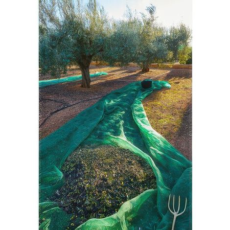 Filet de R�colte des Olives Anti-�pines 10 x 50 m de 80 g/m� en Monofilament de Poly�thyl�ne