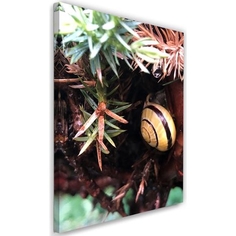 Tableau décoratif Escargot feuille nature 40x60 (1/5)