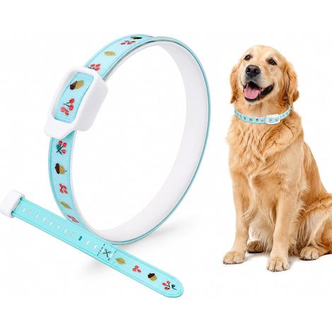 Collier anti-tiques pour grands chiens, 8 mois de protection contre tiques et puces, collier avec formule végétale, résistant et réglable (1/5)