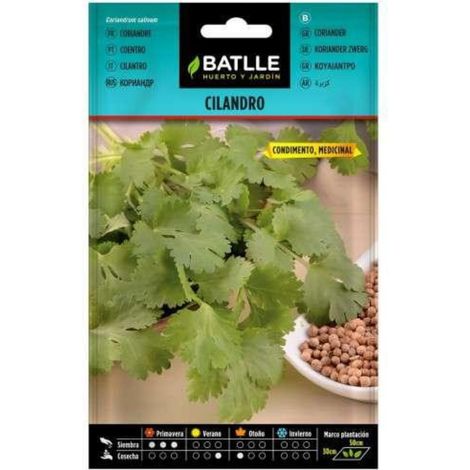 Semillas de Cilantro Cilandro Batlle