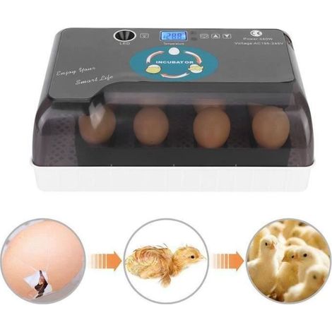 Incubateur d\'oeufs intelligent de 12 oeufs Oeuf automatique tournant la machine d\'incubation d\'incubation (220V EU Plug) -OHL (1/4)